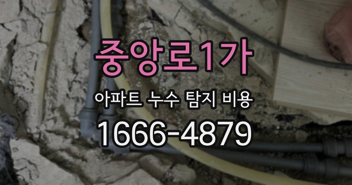 중앙로1가 아파트 누수 탐지 비용