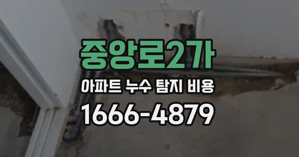 중앙로2가 아파트 누수 탐지 비용