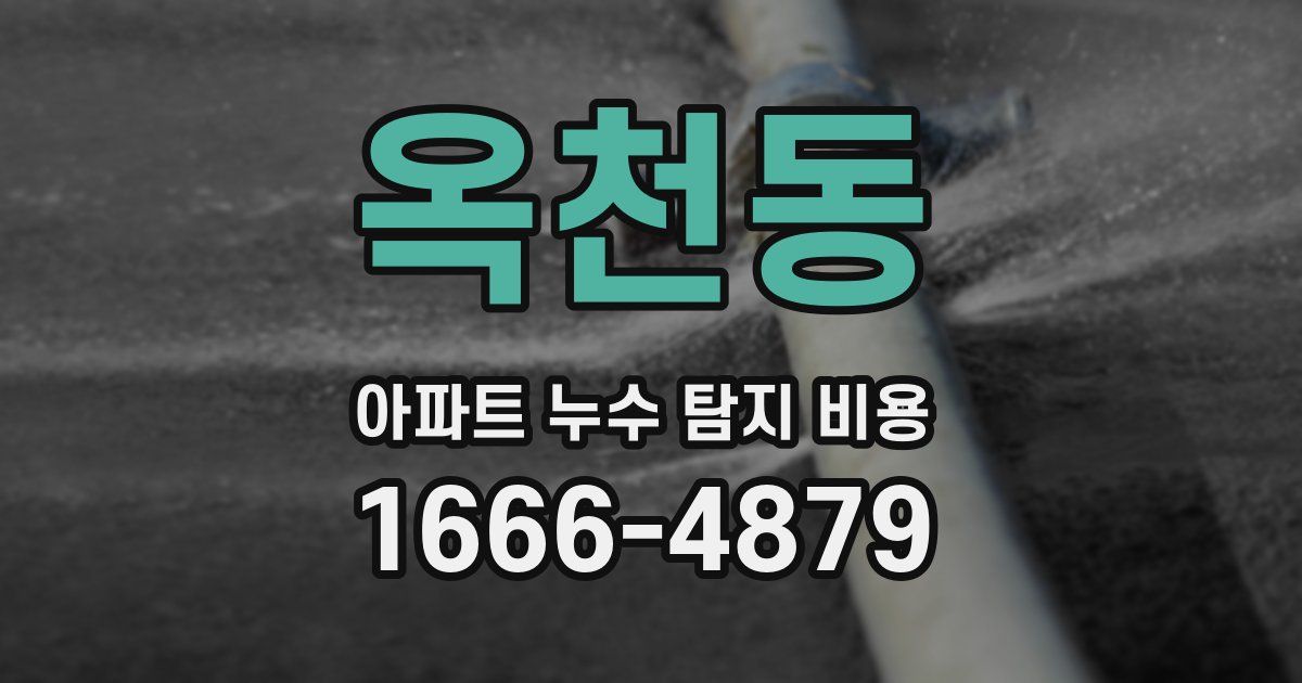 옥천동 아파트 누수 탐지 비용