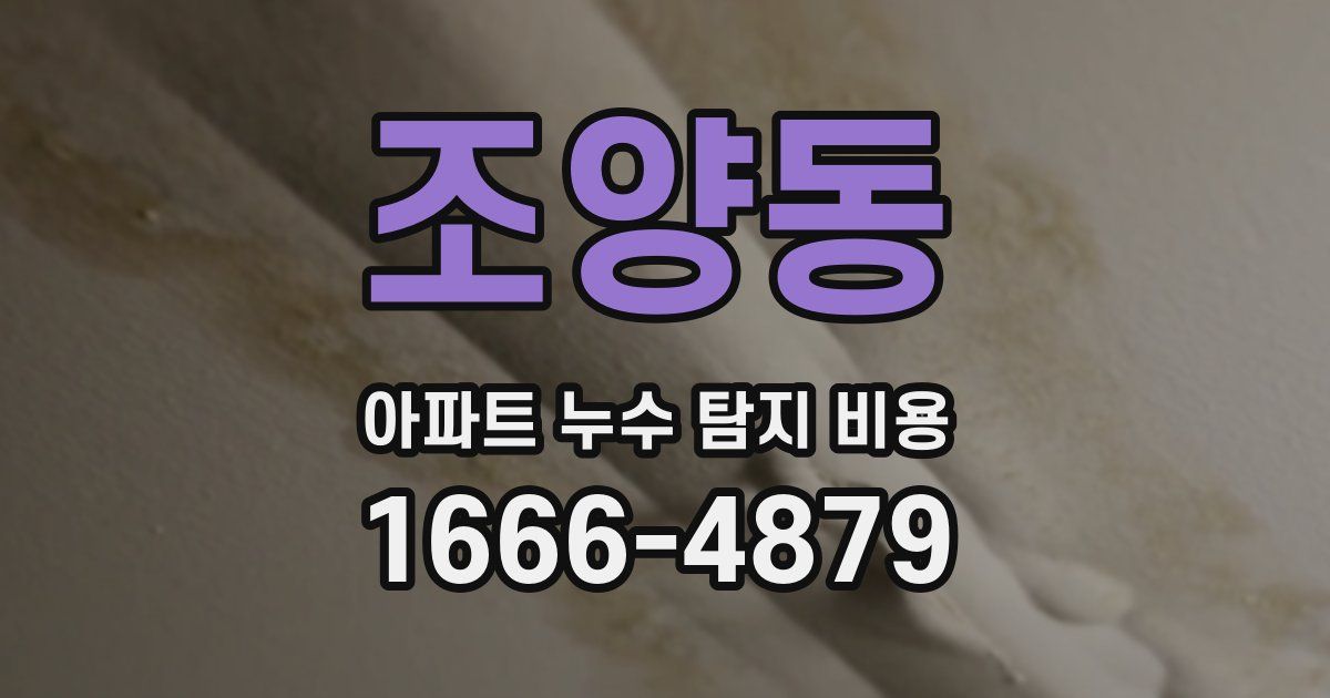 조양동 아파트 누수 탐지 비용