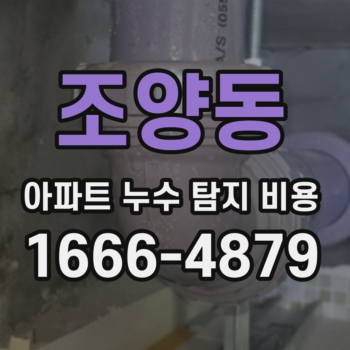 조양동 아파트 누수 탐지 비용