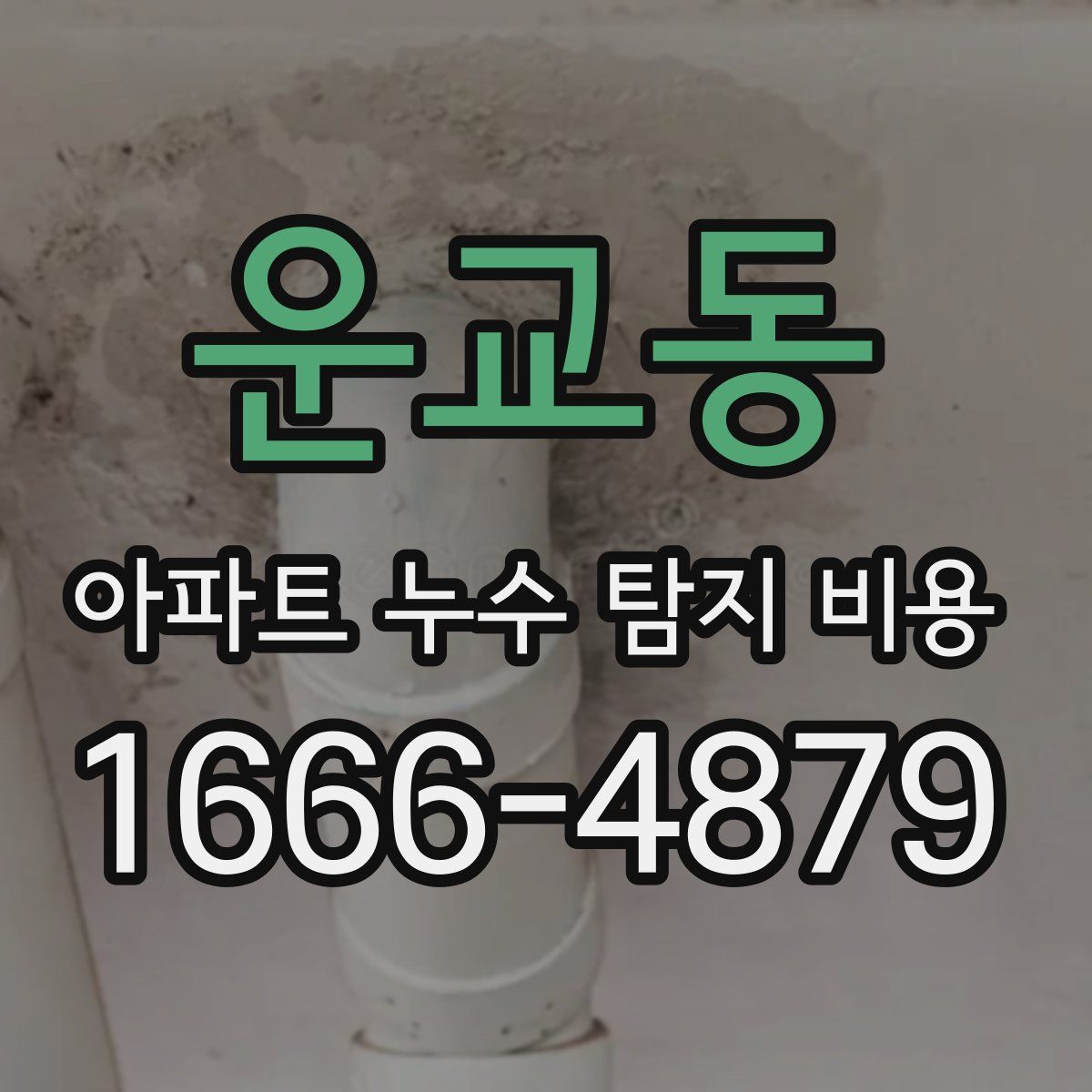운교동 아파트 누수 탐지 비용