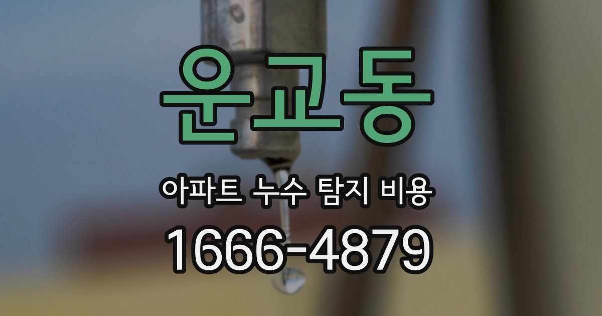 운교동 아파트 누수 탐지 비용
