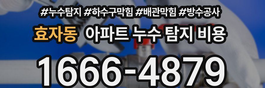 효자동 아파트 누수 탐지 비용