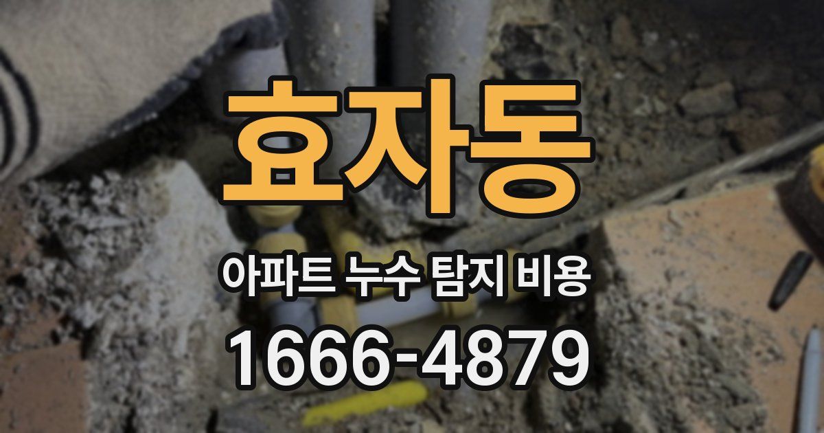효자동 아파트 누수 탐지 비용