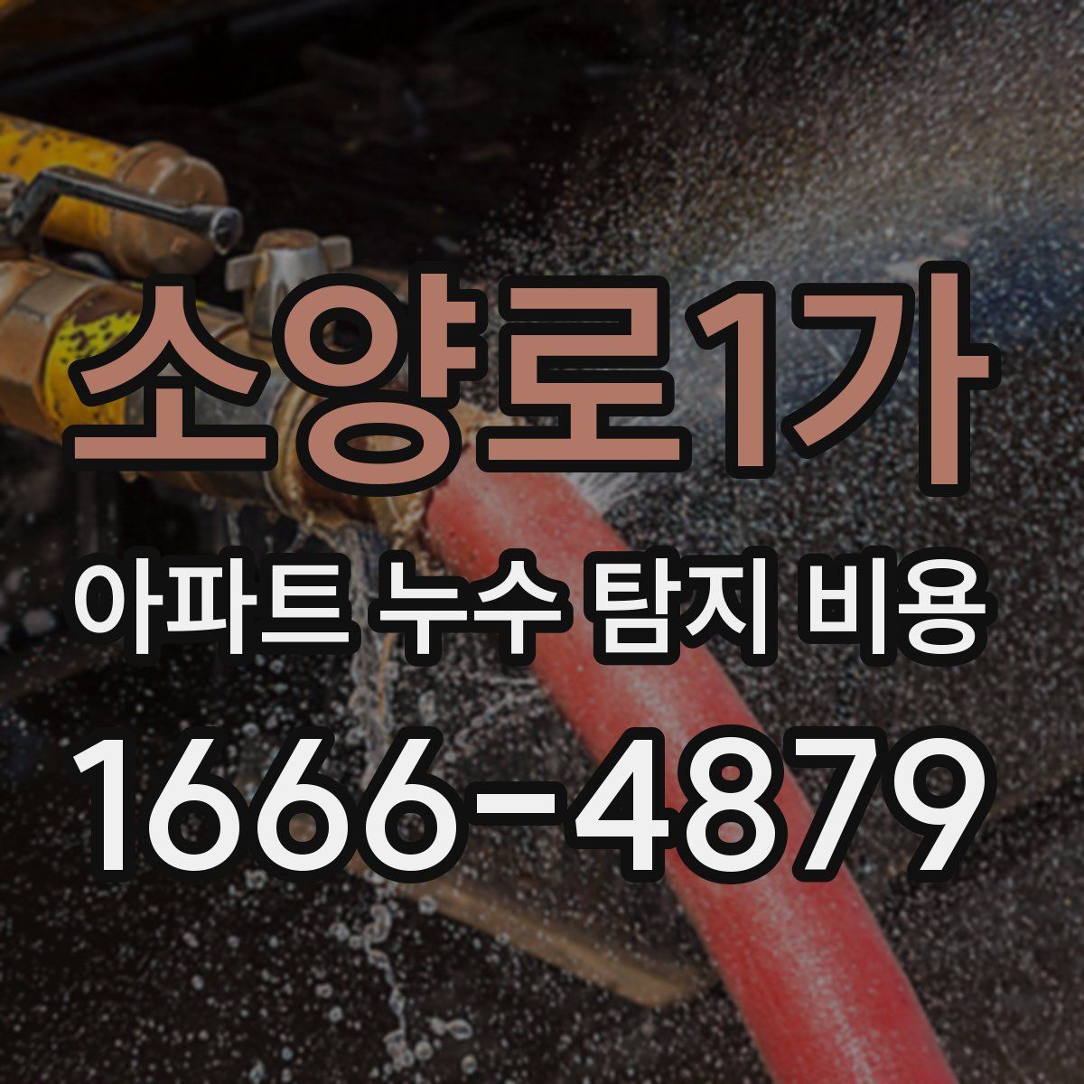 소양로1가 아파트 누수 탐지 비용