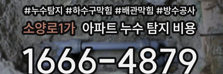 소양로1가 아파트 누수 탐지 비용