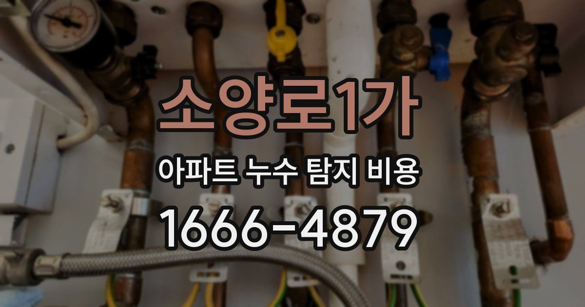 소양로1가 아파트 누수 탐지 비용