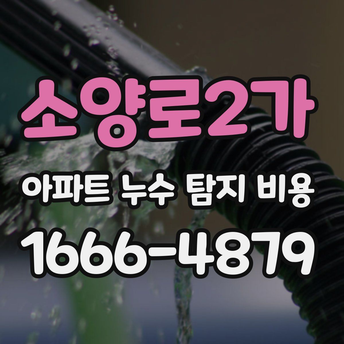 소양로2가 아파트 누수 탐지 비용