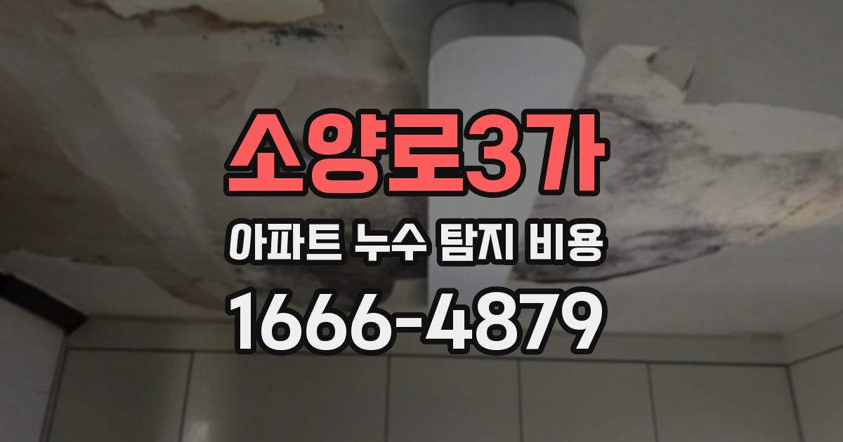 소양로3가 아파트 누수 탐지 비용