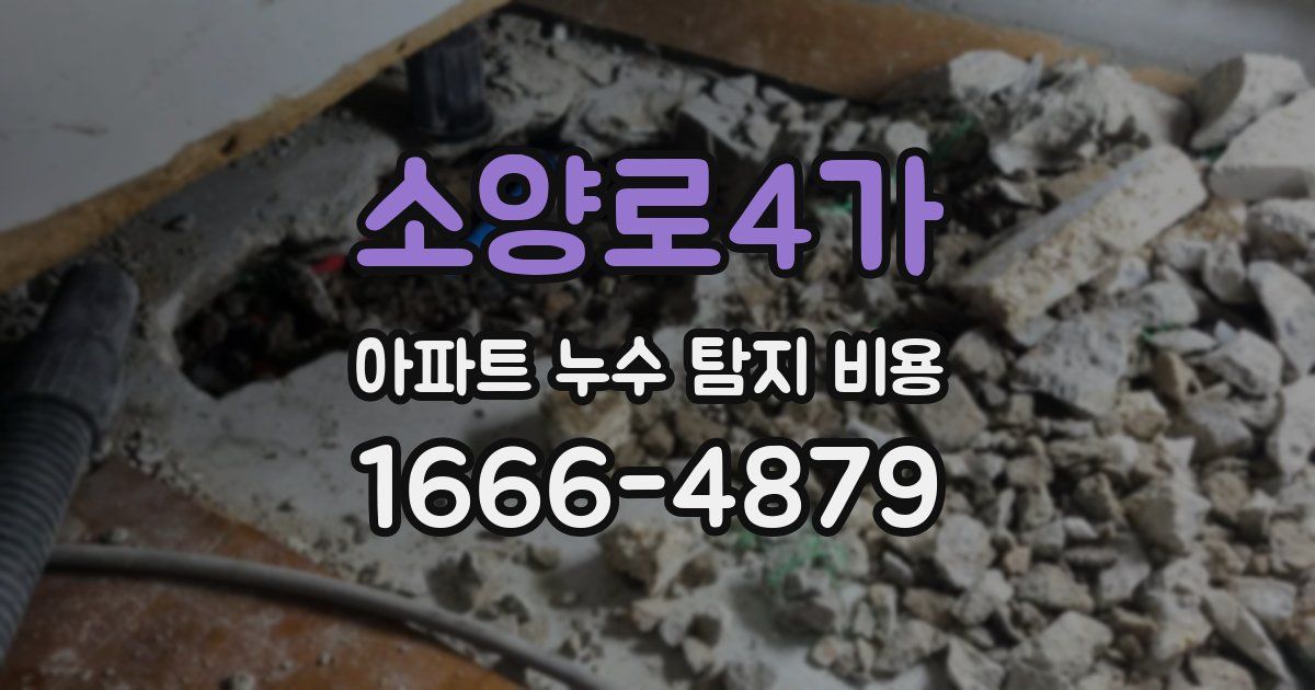 소양로4가 아파트 누수 탐지 비용