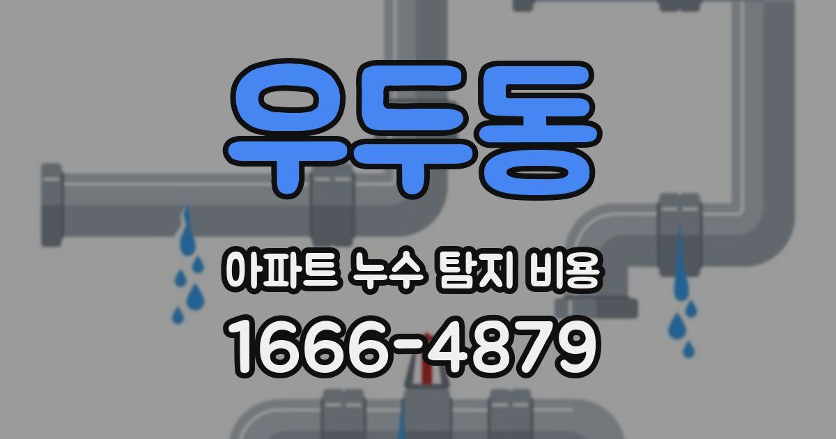 우두동 아파트 누수 탐지 비용