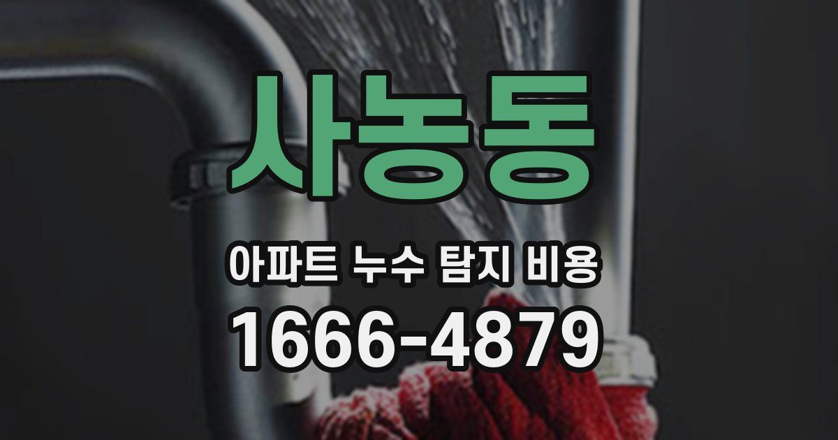사농동 아파트 누수 탐지 비용