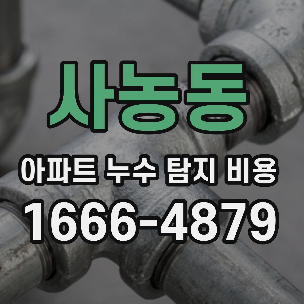 사농동 아파트 누수 탐지 비용
