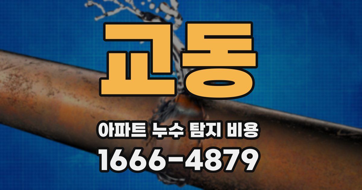 교동 아파트 누수 탐지 비용