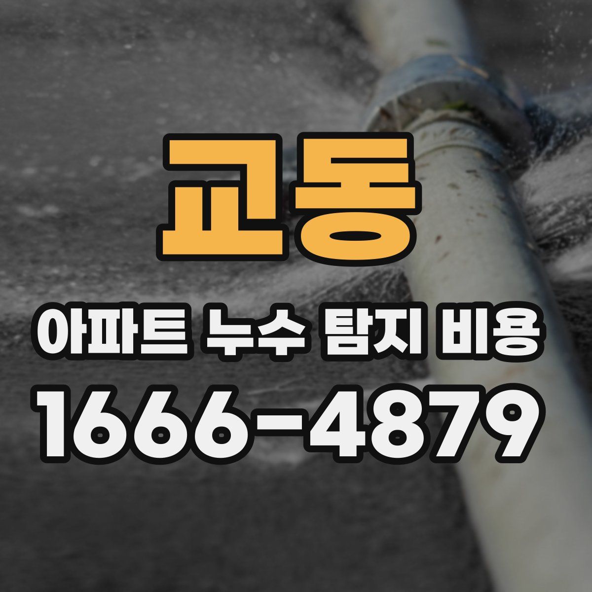 교동 아파트 누수 탐지 비용