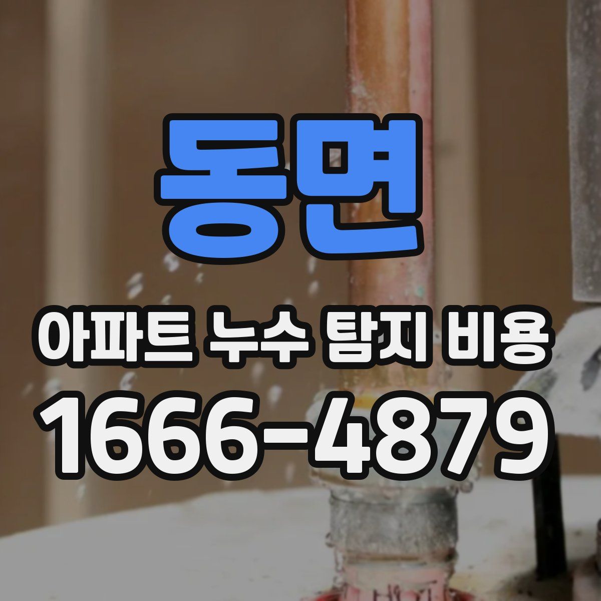 동면 아파트 누수 탐지 비용