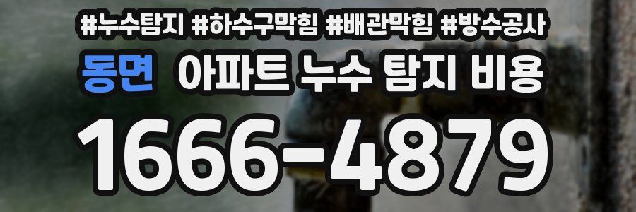 동면 아파트 누수 탐지 비용