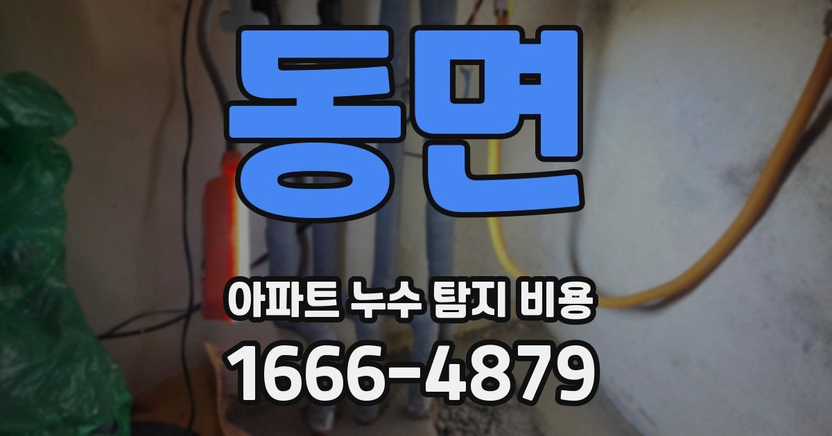 동면 아파트 누수 탐지 비용
