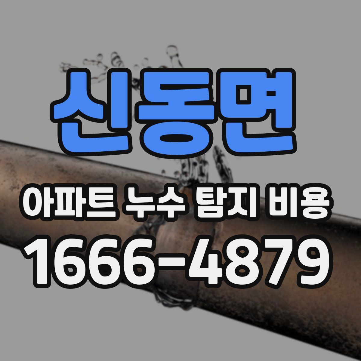 신동면 아파트 누수 탐지 비용
