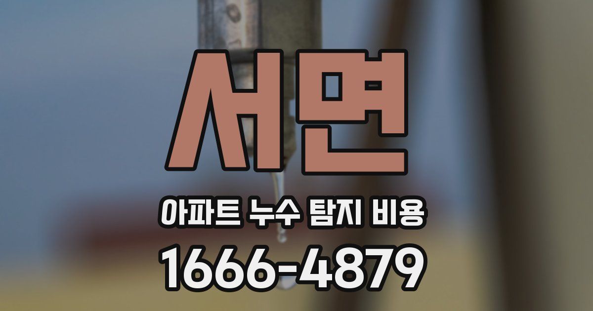 서면 아파트 누수 탐지 비용