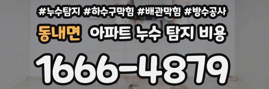 동내면 아파트 누수 탐지 비용