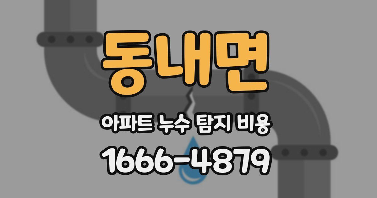동내면 아파트 누수 탐지 비용