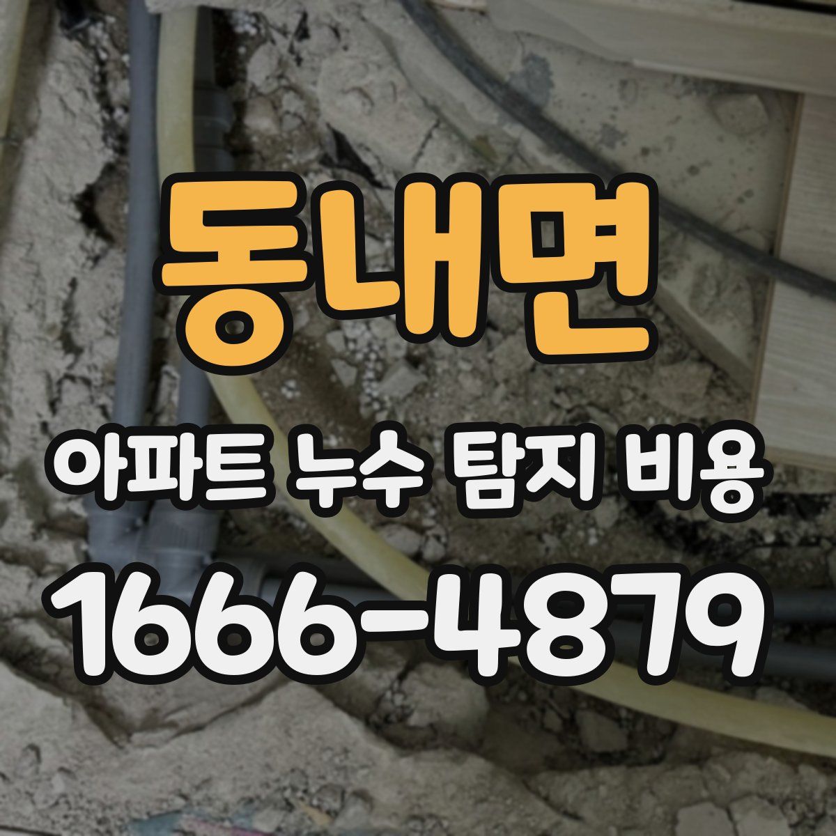 동내면 아파트 누수 탐지 비용