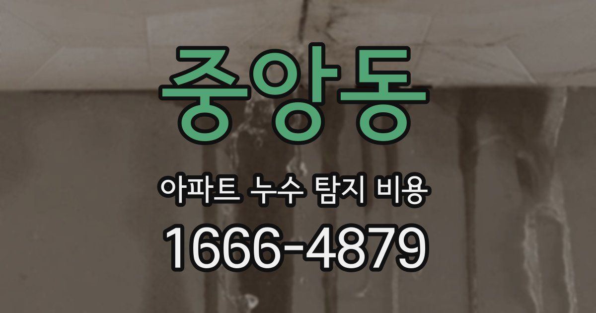 중앙동 아파트 누수 탐지 비용