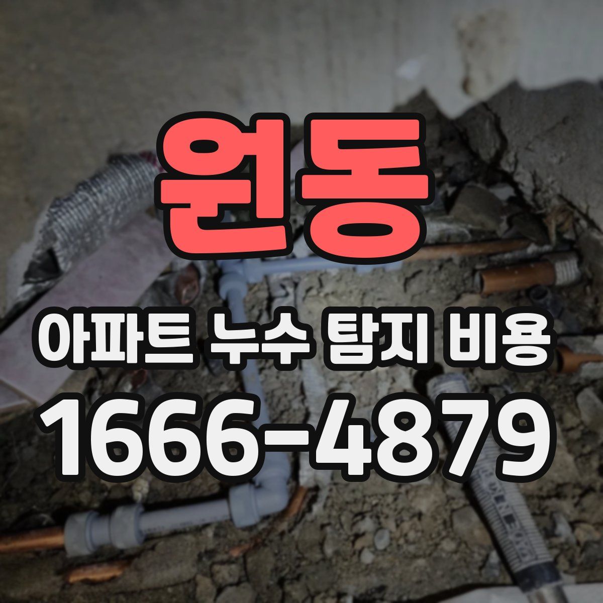 원동 아파트 누수 탐지 비용