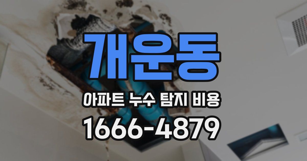 개운동 아파트 누수 탐지 비용