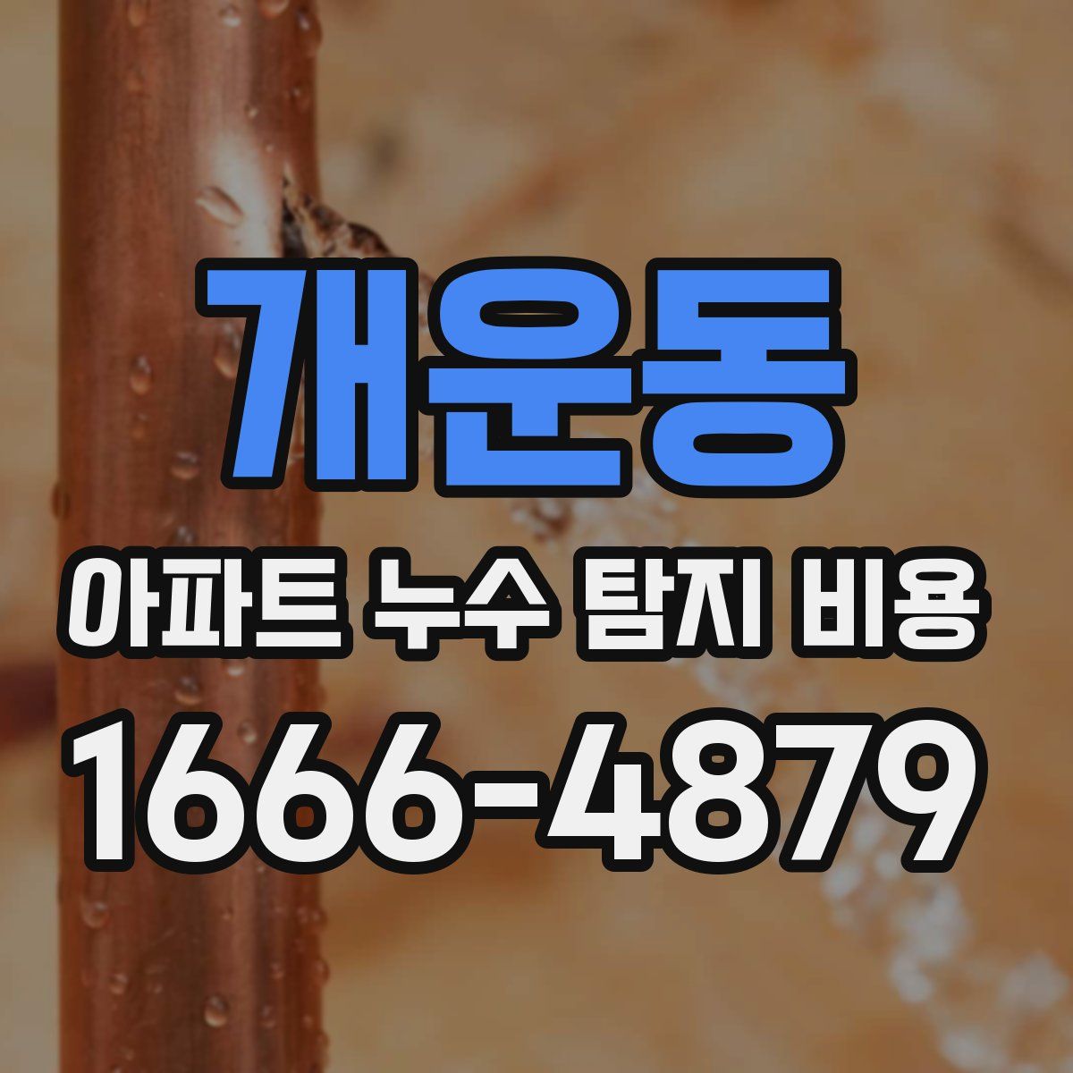 개운동 아파트 누수 탐지 비용
