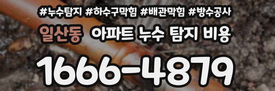 일산동 아파트 누수 탐지 비용