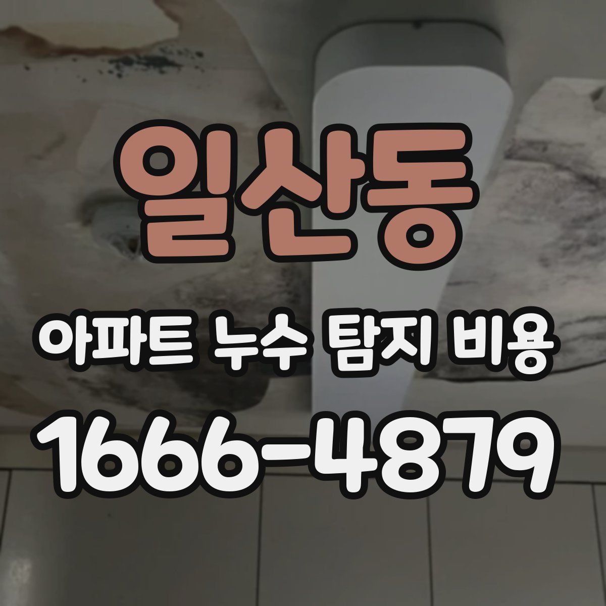 일산동 아파트 누수 탐지 비용