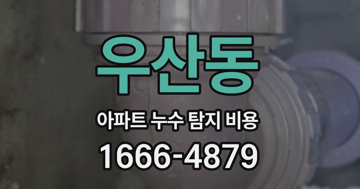 우산동 아파트 누수 탐지 비용