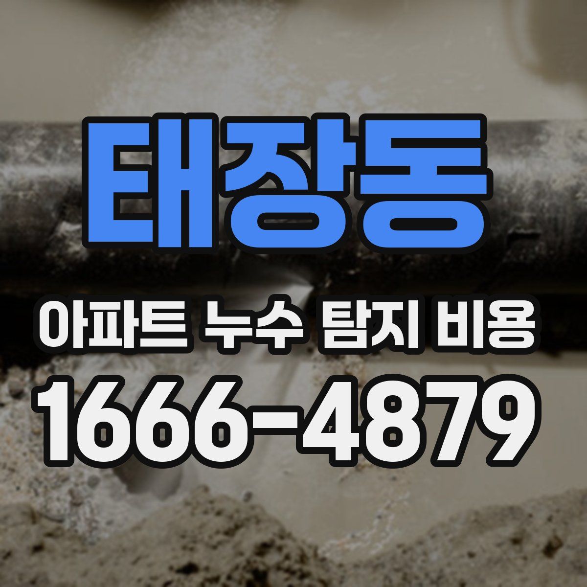 태장동 아파트 누수 탐지 비용