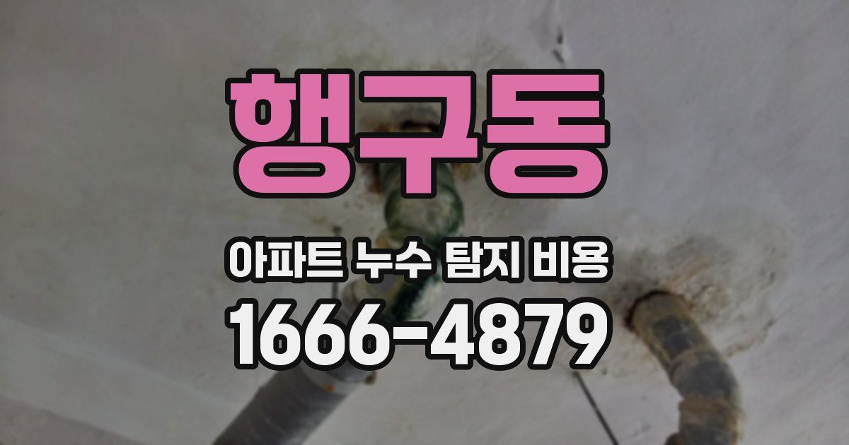 행구동 아파트 누수 탐지 비용