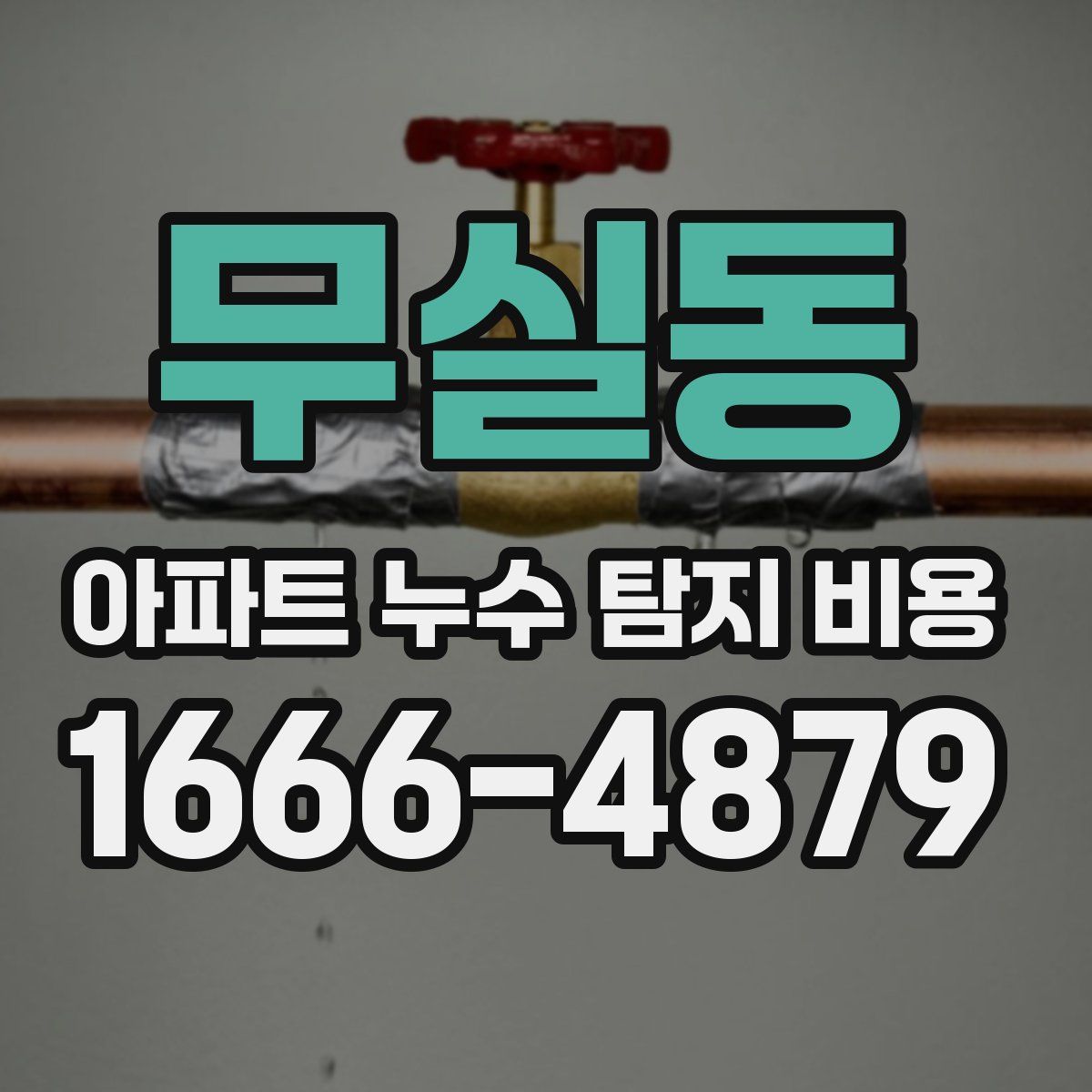무실동 아파트 누수 탐지 비용