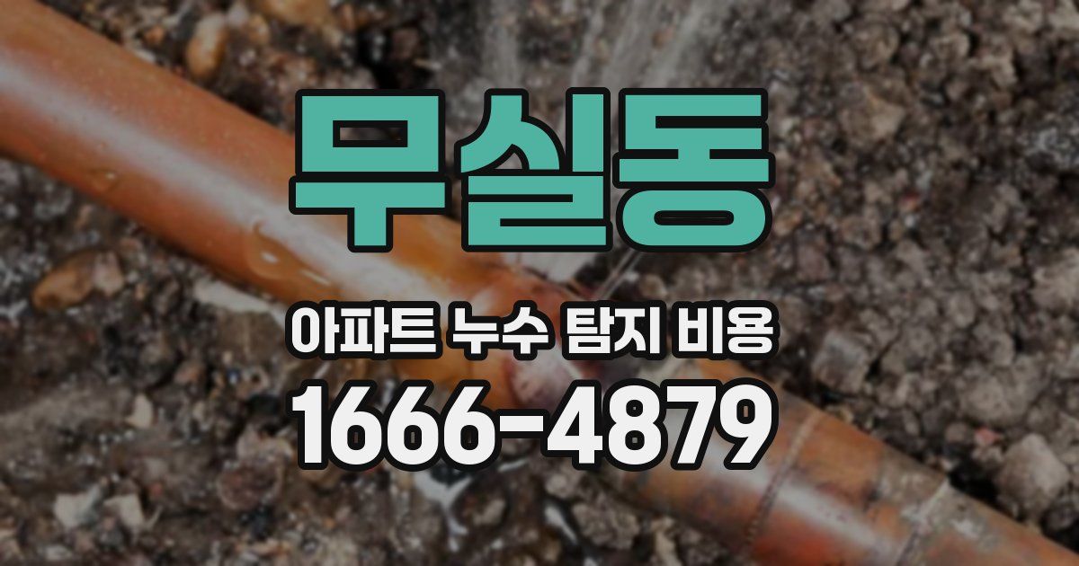 무실동 아파트 누수 탐지 비용