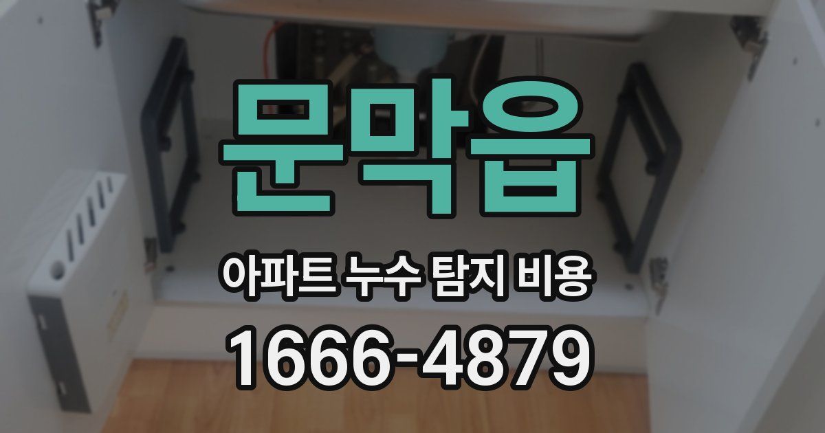 문막읍 아파트 누수 탐지 비용