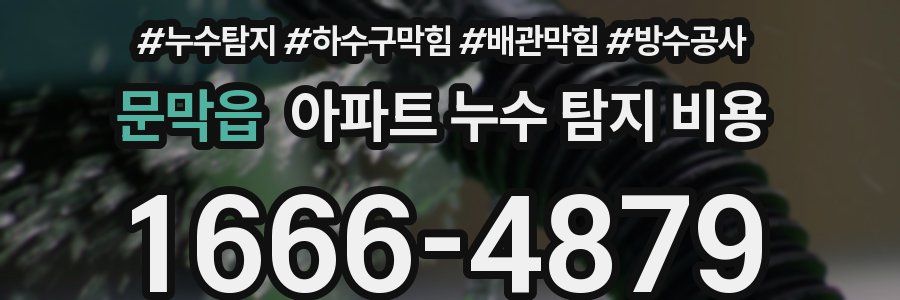문막읍 아파트 누수 탐지 비용