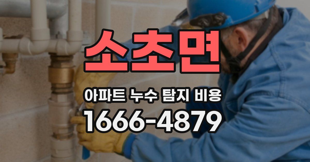 소초면 아파트 누수 탐지 비용