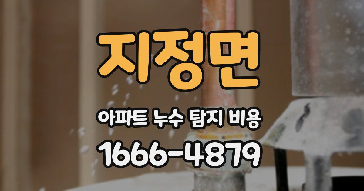지정면 아파트 누수 탐지 비용