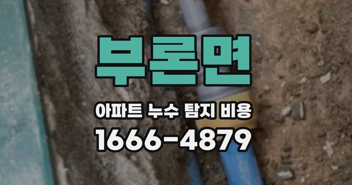 부론면 아파트 누수 탐지 비용