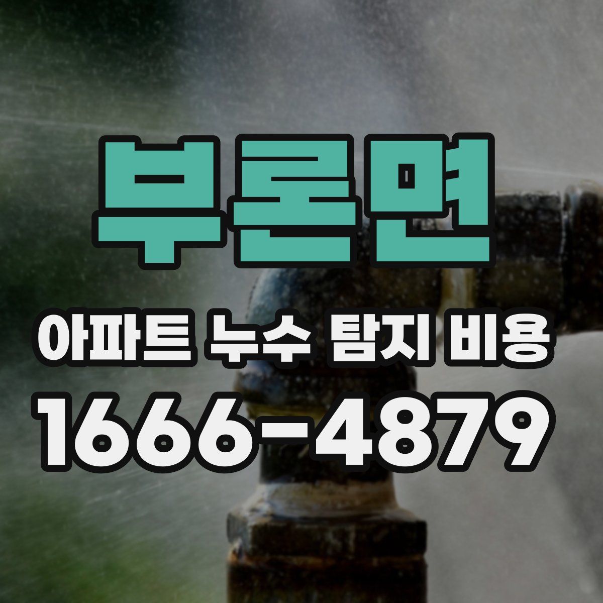 부론면 아파트 누수 탐지 비용