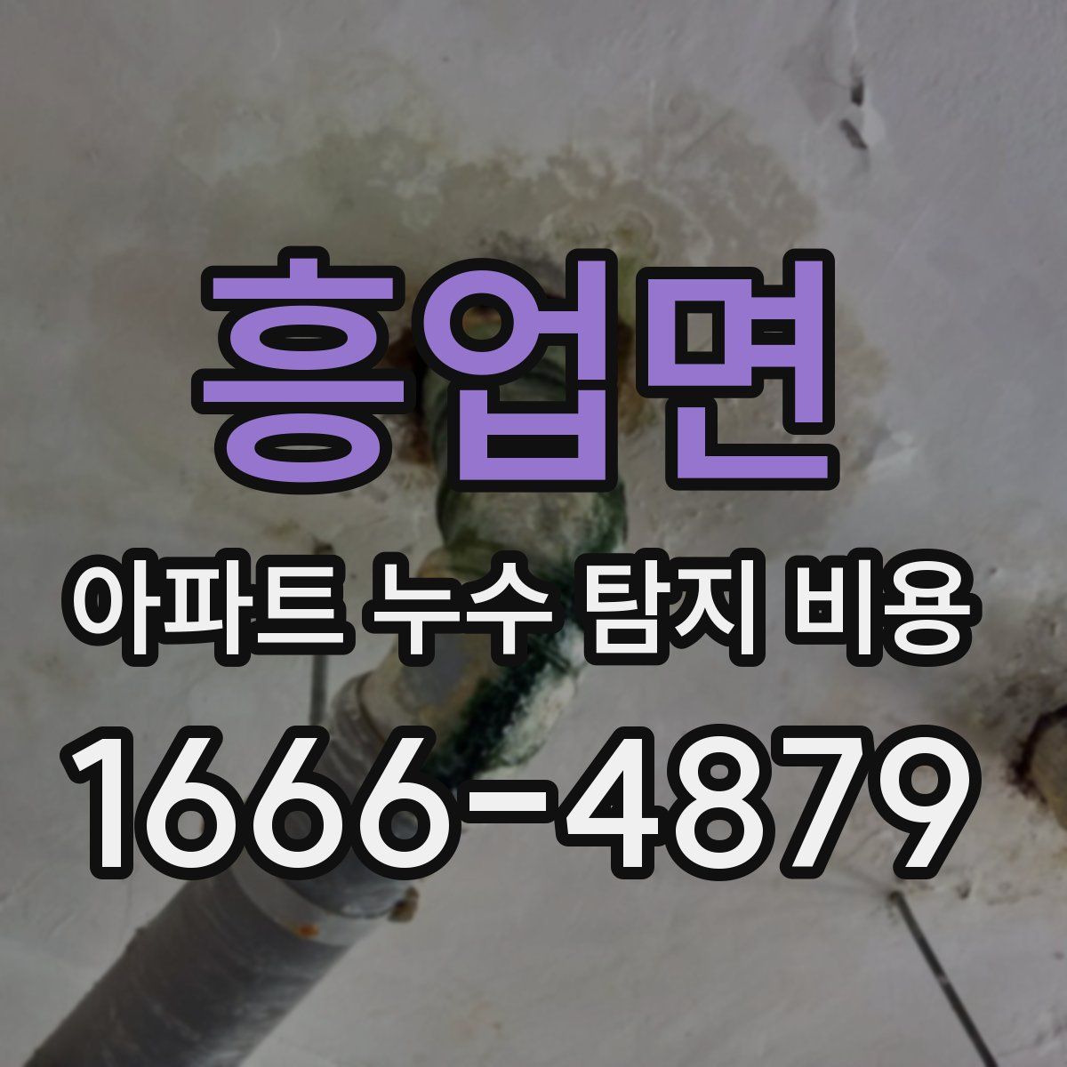 흥업면 아파트 누수 탐지 비용