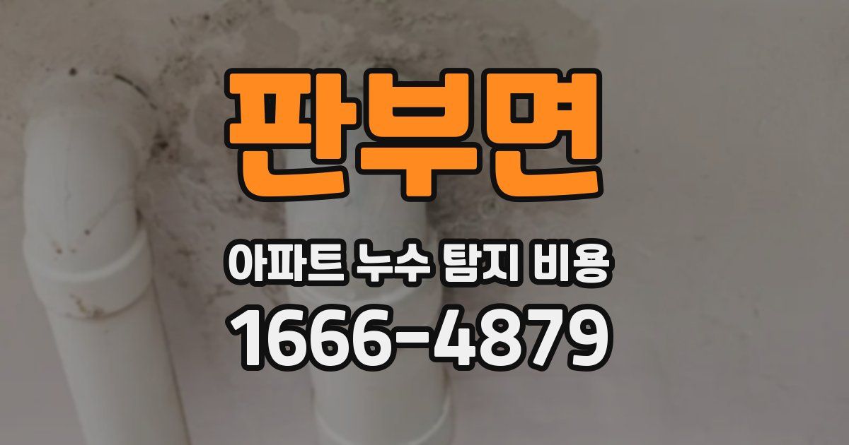 판부면 아파트 누수 탐지 비용