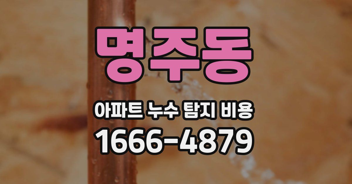 명주동 아파트 누수 탐지 비용