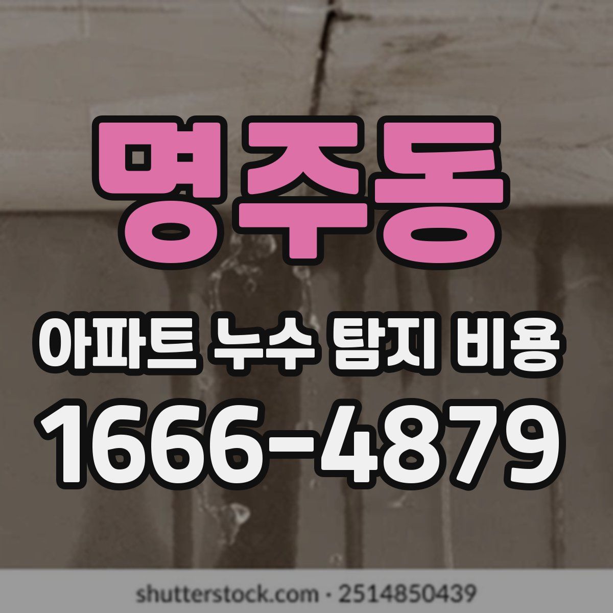 명주동 아파트 누수 탐지 비용