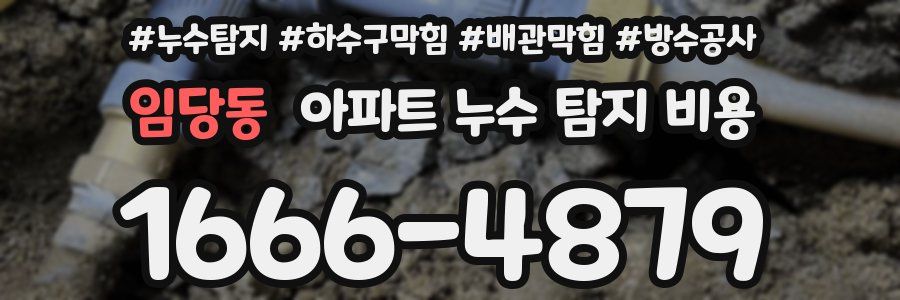 임당동 아파트 누수 탐지 비용